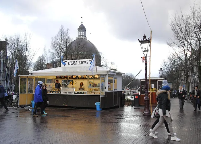 Casa de hóspedes The Old Lady Amesterdão